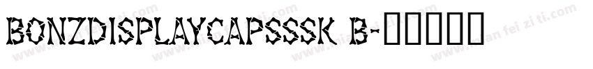 BonzDisplayCapsSSK B字体转换